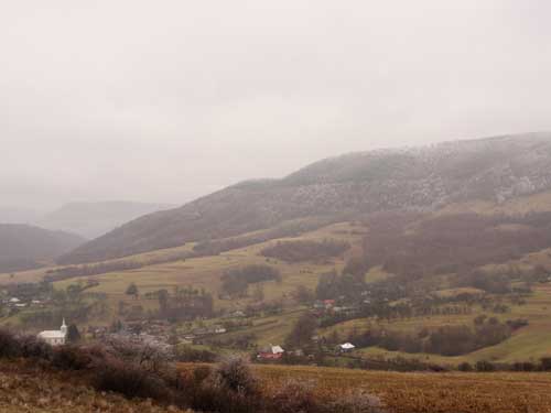 Foto Neguri si chiciura in Cufoaia (c) Petru Goja